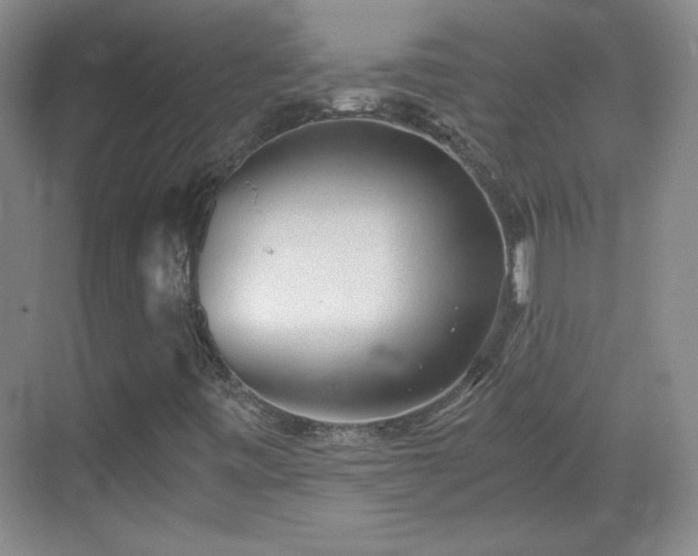 X0000068831443200605081201