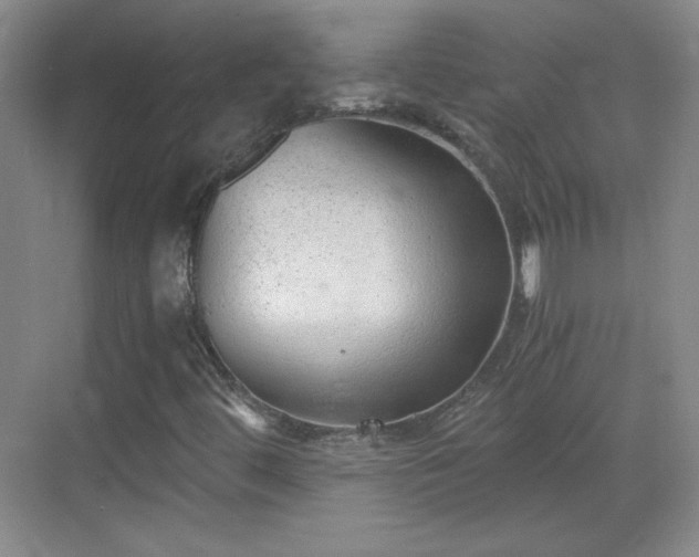 X0000068831444200605081201