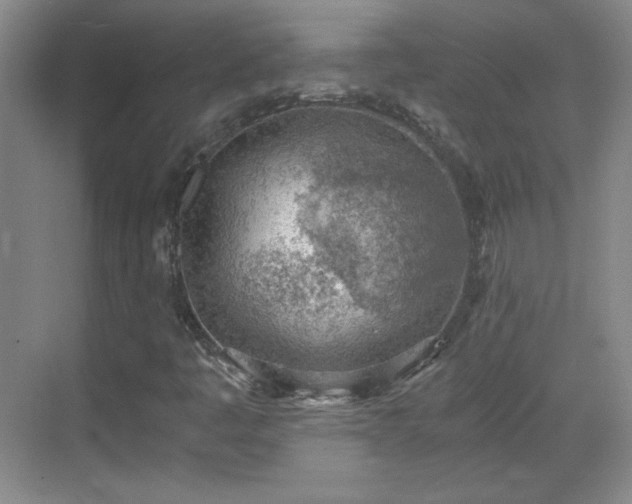 X0000068831445200605081201