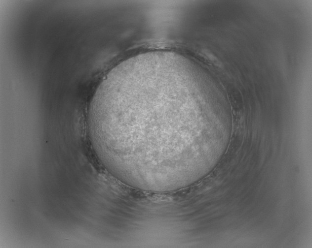 X0000068831446200605081201