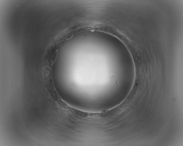 X0000068831447200605081201