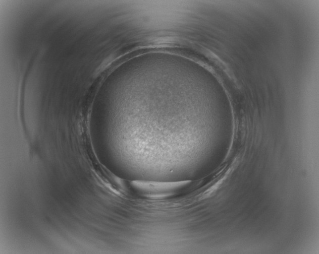 X0000068831449200605081201