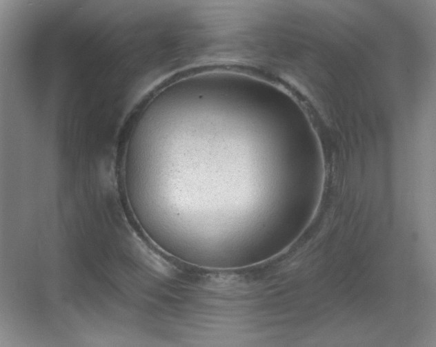 X0000068831452200605081201