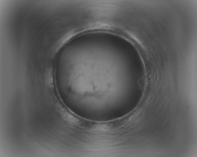 X0000068831455200605081201