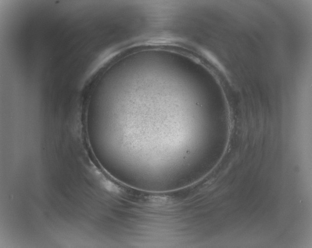 X0000068831456200605081201