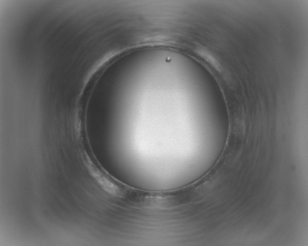 X0000068831458200605081201