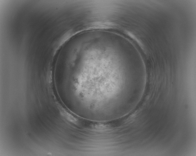 X0000068831459200605081201