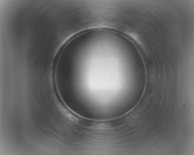 X0000068831460200605081201