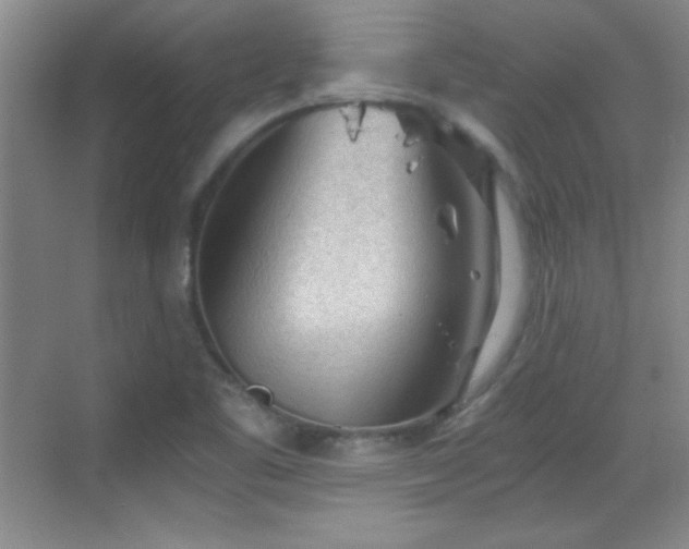 X0000068831461200605081201