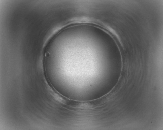 X0000068831464200605081201