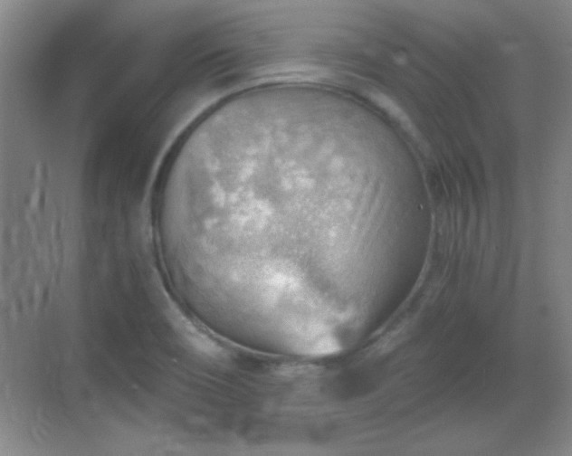 X0000068831466200605081201