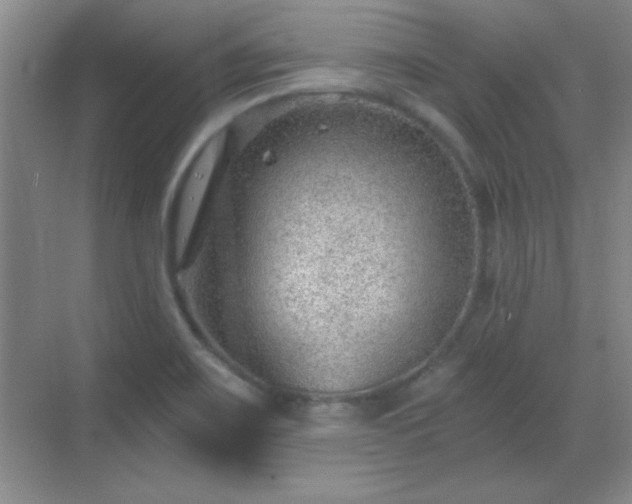 X0000068831467200605081201