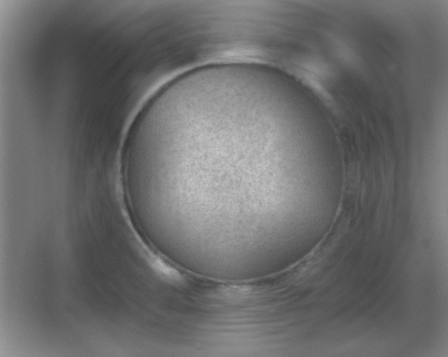 X0000068831470200605081200