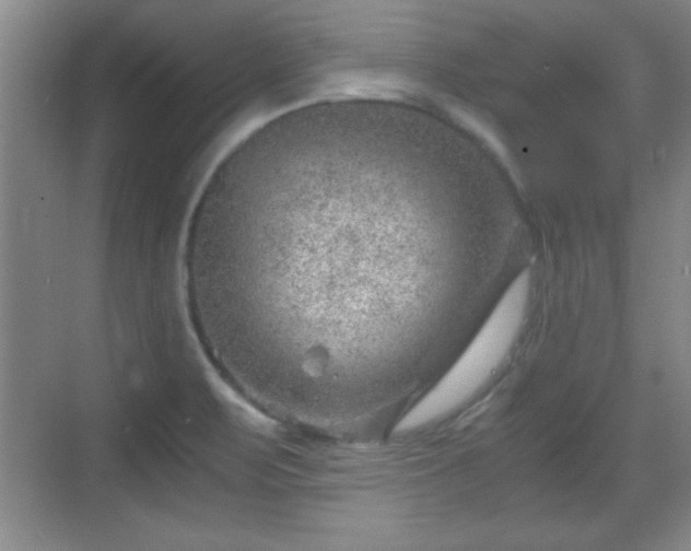 X0000068831471200605081200