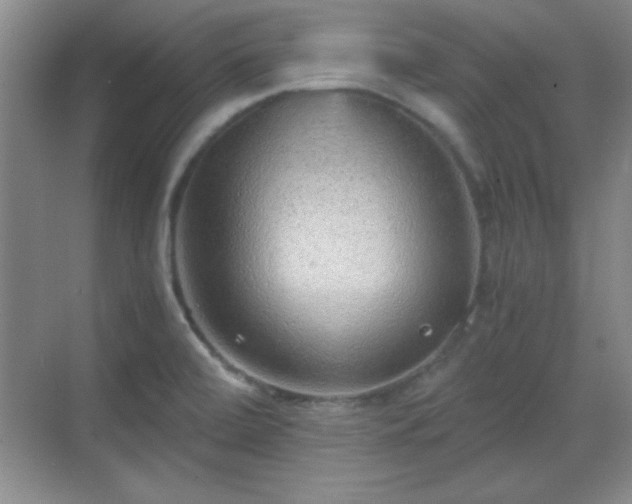 X0000068831472200605081200