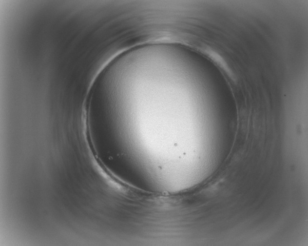 X0000068831476200605081200