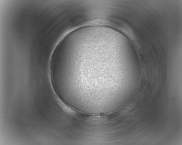 X0000068831478200605081200