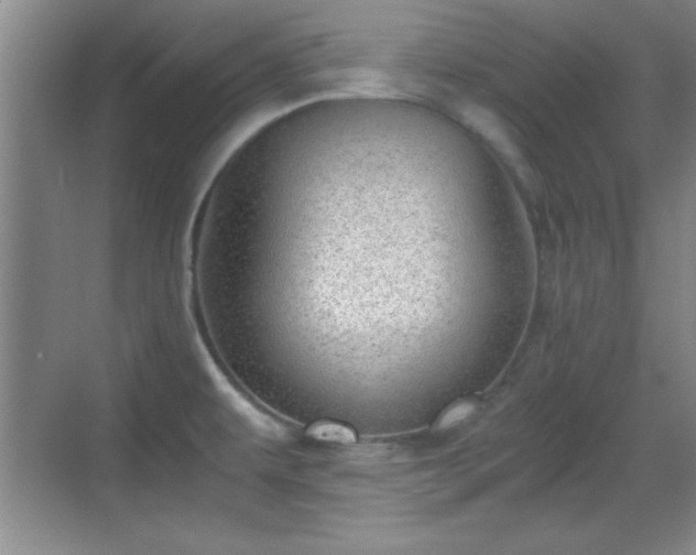 X0000068831479200605081200