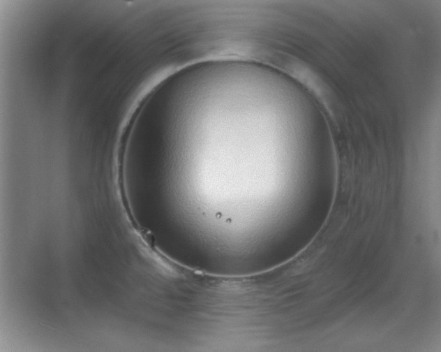 X0000068831480200605081200