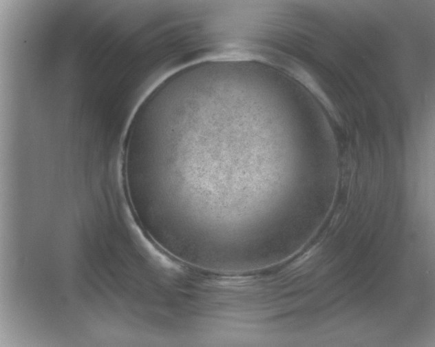 X0000068831484200605081200