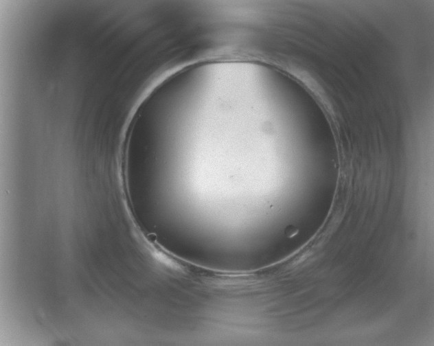 X0000068831486200605081200