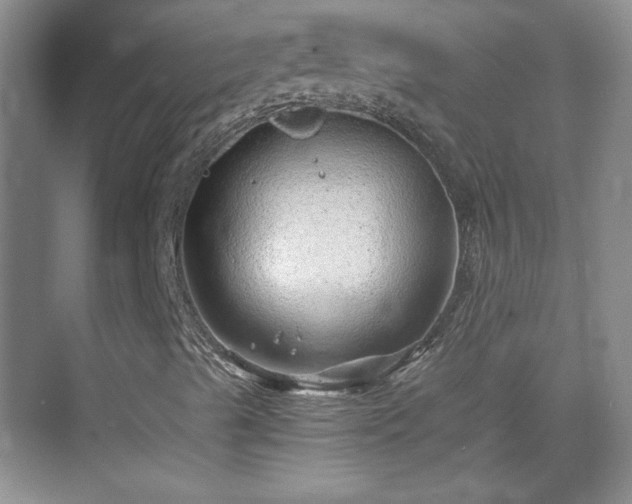 X0000068831489200605081159