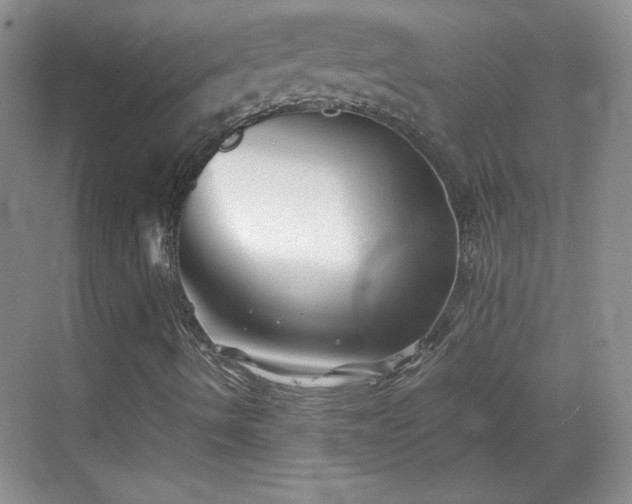 X0000068831490200605081159