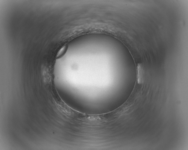 X0000068831491200605081159