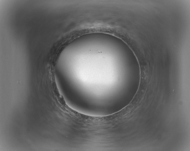 X0000068831493200605081159