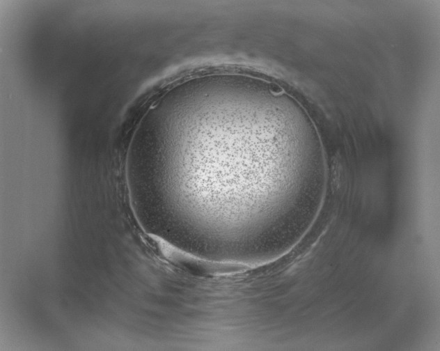 X0000068831494200605081159