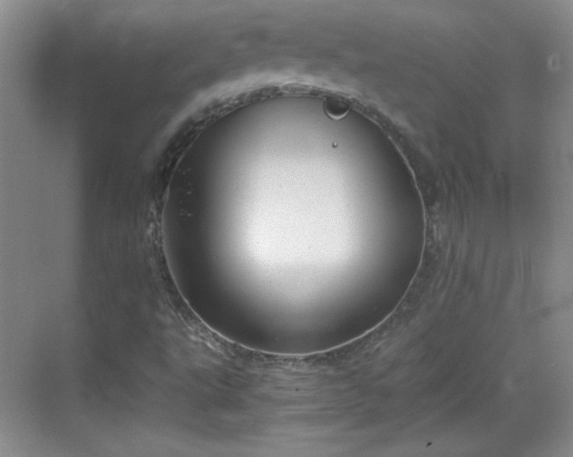 X0000068831495200605081159