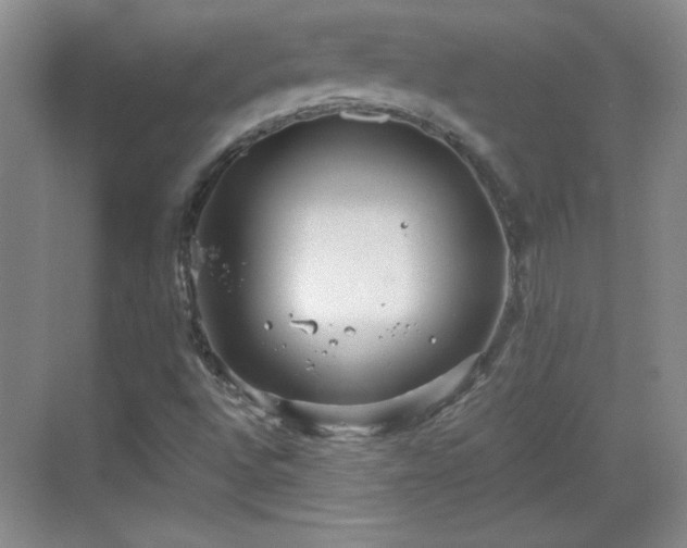 X0000068831496200605081159