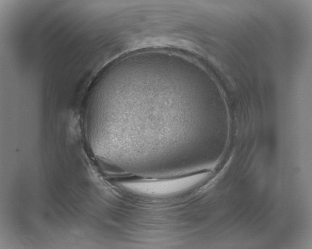 X0000068831497200605081159