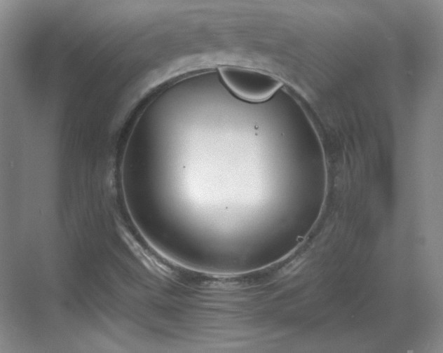 X0000068831499200605081200