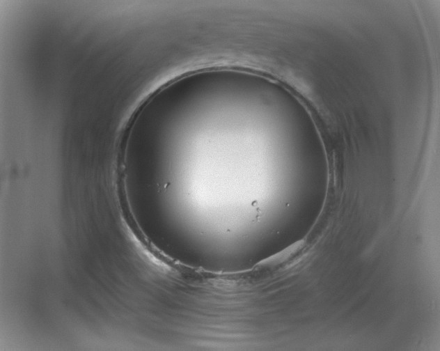 X0000068831500200605081200