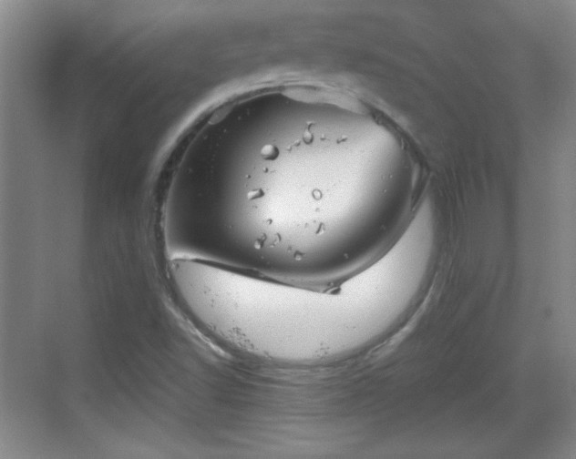 X0000068831502200605081200