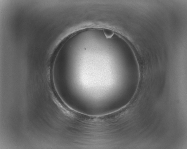 X0000068831503200605081200