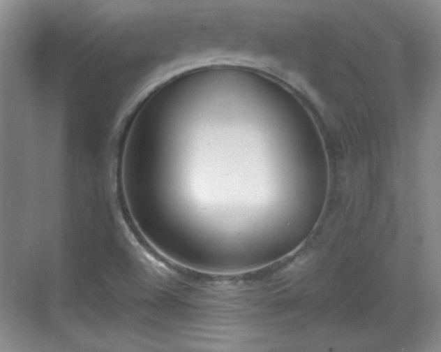 X0000068831504200605081200