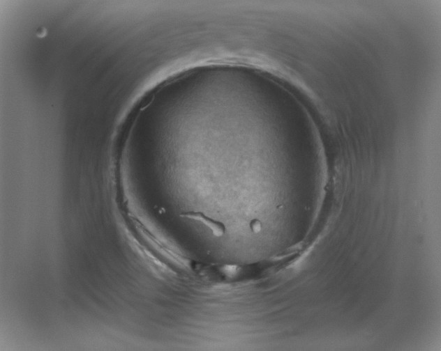 X0000068831506200605081200