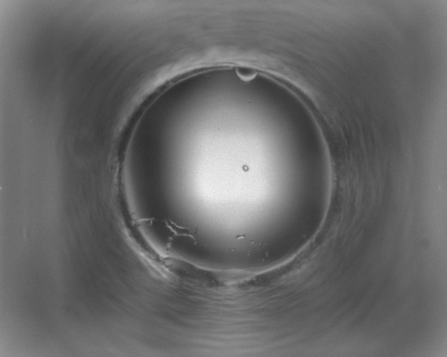 X0000068831507200605081200