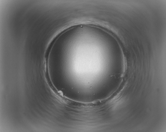 X0000068831509200605081200