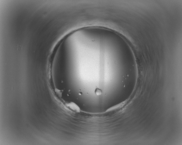 X0000068831510200605081200