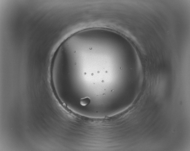 X0000068831512200605081200