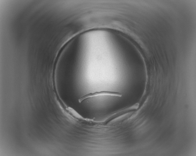 X0000068831513200605081200