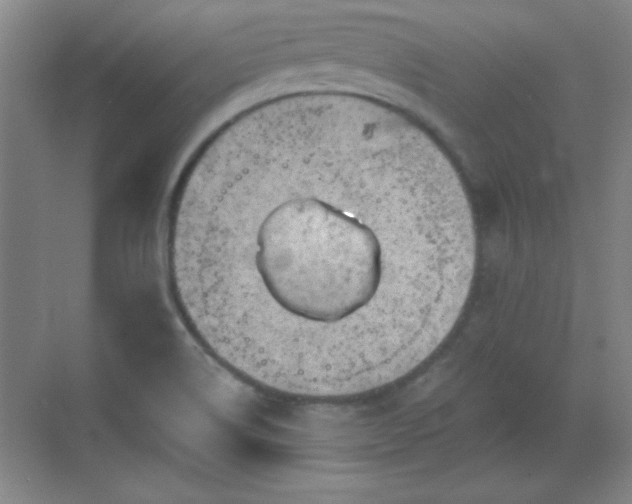 X0000068831514200605081200