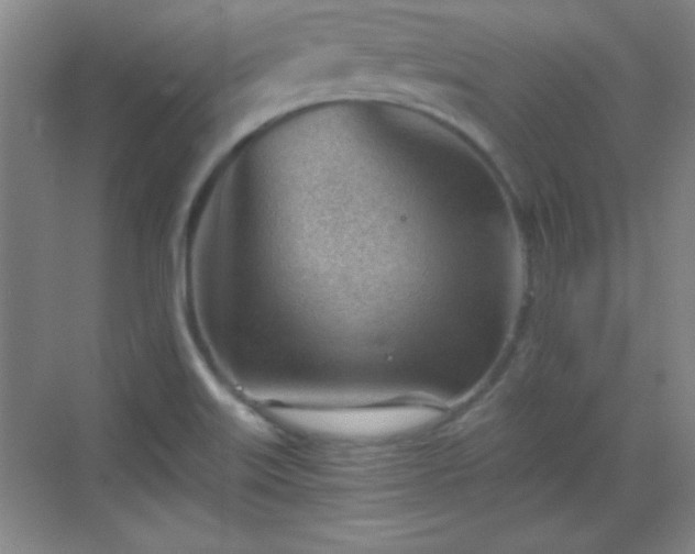 X0000068831515200605081200