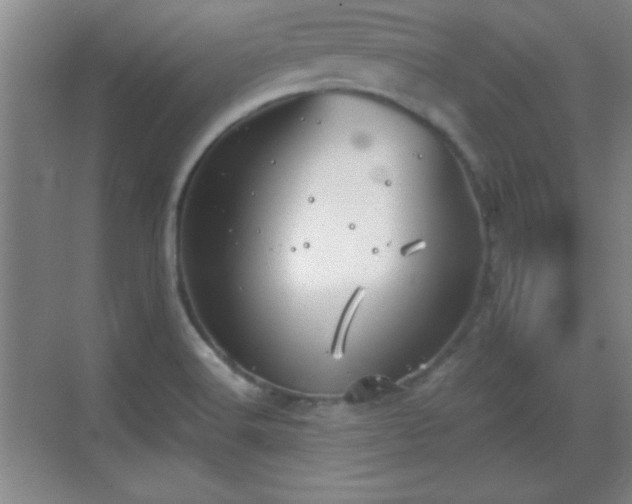 X0000068831516200605081200