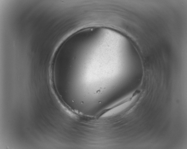 X0000068831517200605081200