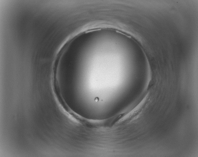 X0000068831518200605081200