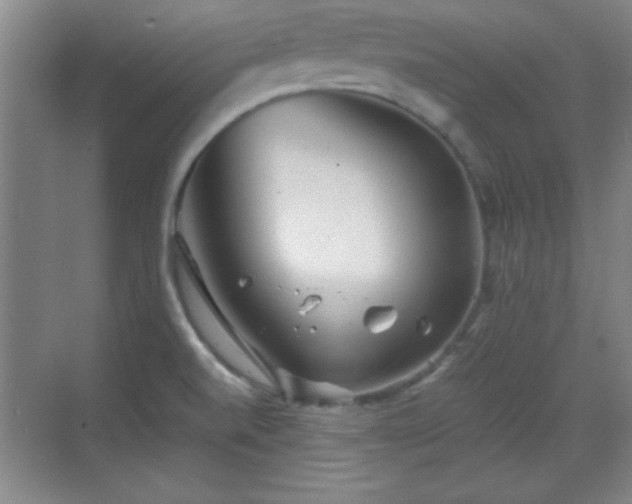 X0000068831520200605081200